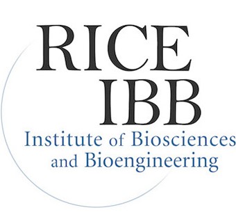 Rice IBB